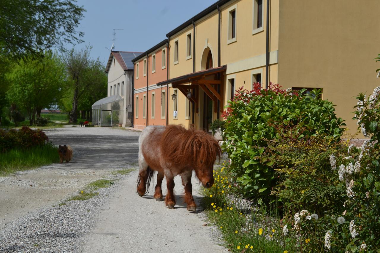 Agriturismo Otto Ducati D'Oro Isola della Scala Exteriör bild